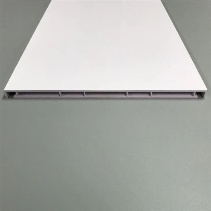 PP Profiles Plastic Sheets PVC/PC/ABS/HDPE/HIPS/PMMA